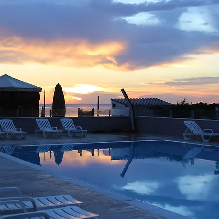 Sea Lion Otel