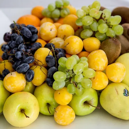 ホテル Sea Lion Montesilvano Marina