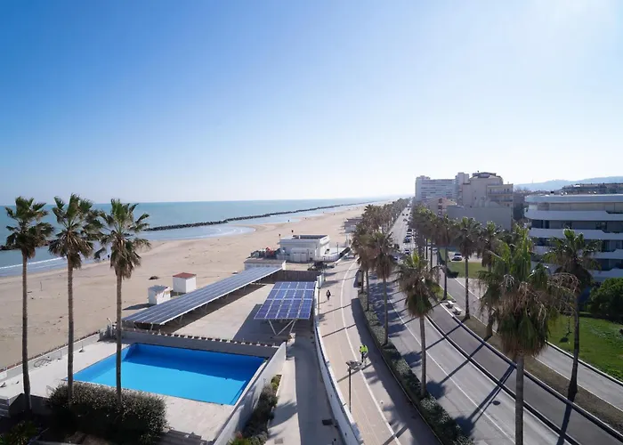 Sea Lion Montesilvano