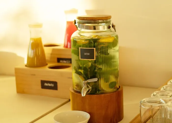 Sea Lion Montesilvano Marina