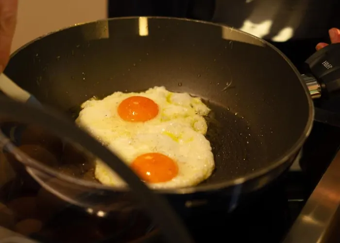 Hotel Sea Lion Montesilvano