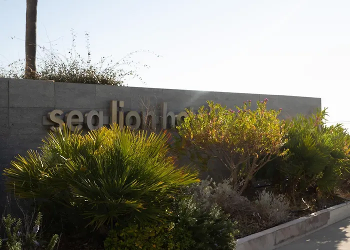 Sea Lion Montesilvano Marina