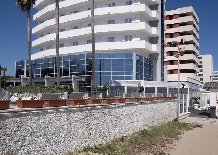 Sea Lion Montesilvano