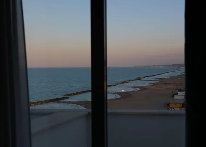 Sea Lion Montesilvano