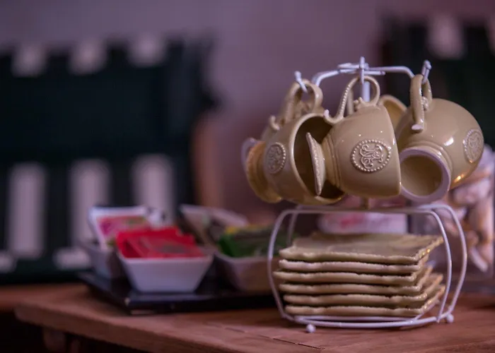 Sea Lion Montesilvano