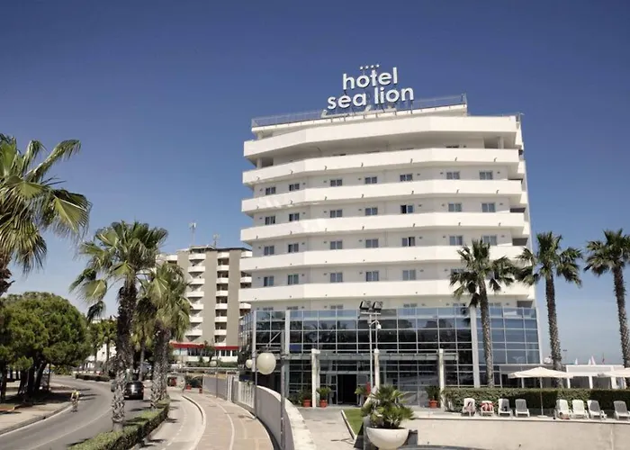 Sea Lion Montesilvano