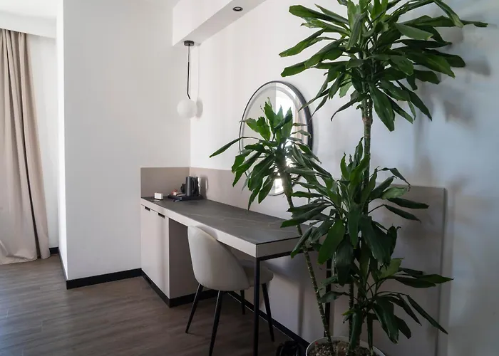 Sea Lion Montesilvano