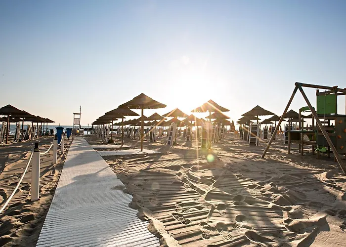 Sea Lion Montesilvano